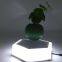 led light magnetic floating levitating bottom air plant tree potted