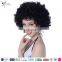 halloween carnival synthetic fibre 140g black and white afro fans wig