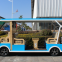 Electric Golf vehicle