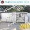 Prior market profession automatic bean sprout growing machine