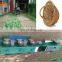 Fresh Wicker Peeling machine/Willow Branch Peeler/Wicker Skin Peeling Machine