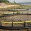 Anti Stormy Waves Deep Sea Fish Cage Floating Net Cage