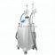 2018 Vertical Cool tech 4 handles Cryolipolysis face body slimming machine with antifreeze membrane