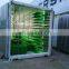 container type automatic barley/wheat/corn hydroponic grass fodder growing machine