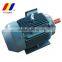 YE2 series three-phase squirrel cage induction motor
