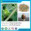 Tribulus Terrestris Extract