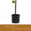 Nordic style New Hot Sales New Design Bonsai Stand Artificial Tree Real Touch 120cm Orange Lemon Artificial Tree Indoor Home Outdoor
