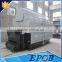 DZL Chain Grate Wood Pellet Coal 2 Ton Steam Boiler