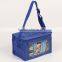 Cheap promotional customized insulated 6 pack can non woven disposable cooler bag cooler lunch bag picnic cooler bag