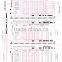 OMR answer sheet/info form/OMR testing paper--provide OMR sheet designning and printing service