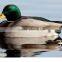 dongguan factory offer foam used duck decoys