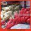 High Quality Automatic Plastic (PE) Automatic Duck, Goose, Chicken Drinkers
