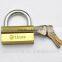 Yalian Brand Cheap Special Camel Shape Padlock