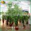Home Decoration Artificia Bamboo Fake Bamboo Plastic Lucky Bamboo Decoration