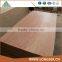 Best quality 4'x8' bintangor plywood manufacturer