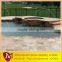 High End Swimming Travertine Paverstone