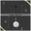 New Designs Indoor Modern Glass Pendant Light, Fancy Hanging Light