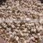 IQF mushrooms