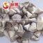 IQF Frozen Shiitake Mushroom whole / slices / 1/4 cuts /quarter