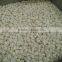New Crop Frozen Vegetable IQF White Cauliflower