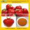 GMP manufacturer supply good quality strawberry flovor extract powder
