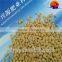 China professianal supplier dap and npk fertilizer 64%