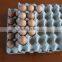 High quality automatic Paper Egg tray making machine