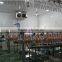 Chicken Slaughter Process Machine