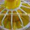 automatic feeder for chicken farm