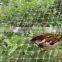 20years factory Anti-bird Netting, anti-bird net, Agricuture Netting