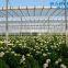 Galvanized steel structure pc sheet cover used commercial greenhouses
