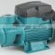 Water pump qb60