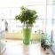 Bonsai tree large size rectangular plastic flower pots