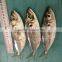 Frozen horse mackerel W/R fish