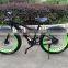 48v 750w Strong powered brushless hub motor electric bicycle fat tire electric bike