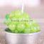 Cactus and Grape Plant Birthday Scented Candle