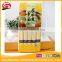 400g Japanese style Tomoshiraga Somen Noodles