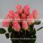 Salable beautiful fast delivery fresh Pink Rose Diana flowers from KUNMING