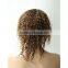 Top Quality human hair Lace front brazilian human hair wig