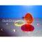 infrared optics