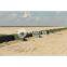 Defensive Barrier Qiaoshi Military blast barrier
