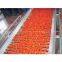 Tomato Sauce Production Line