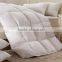 Luxury goose down and feather quilt for home/hotel