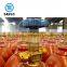 Samples Accepted Empty Gas Cylinder Price of Oxygen/Nitrogen/Argon/Acetylene/CO2 Bottles