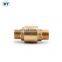 BT5012 вертикальный обратный клапан