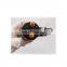 Common Rail Disesl Injector  0445120157 For Bosch IVECO Stralis FIAT HONGYAN 504255185