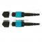 Tanghu Best Price 8 Core MPO-MPO Multimode OM3 Fiber Optic Patch Cord 3M