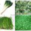Sinocharm Frozen vegetables BQF or IQF Frozen Leek  Green Leek Cut