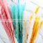 Wholesales Hot Sale Long Feather Phragmites Natural Flowers Dried Decorative White Pampas Grass Home Wedding Decoration