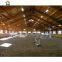 Prefab steel structure horse arena construction